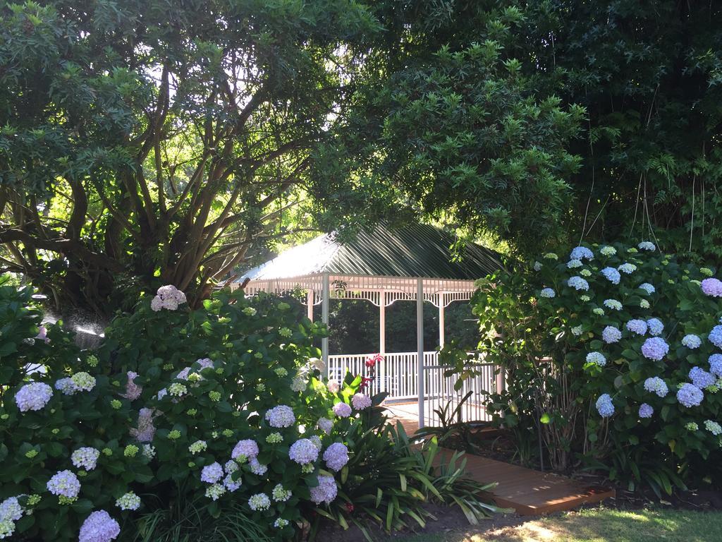 ケープタウン The White Manor Bed & Breakfast エクステリア 写真