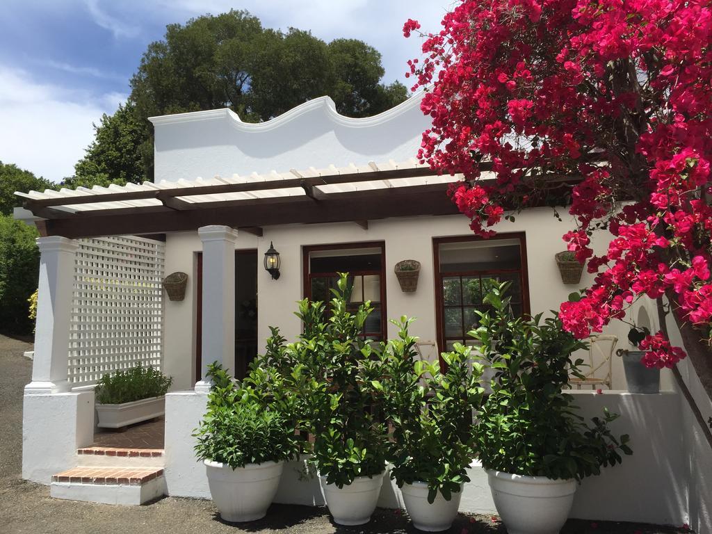 ケープタウン The White Manor Bed & Breakfast 部屋 写真