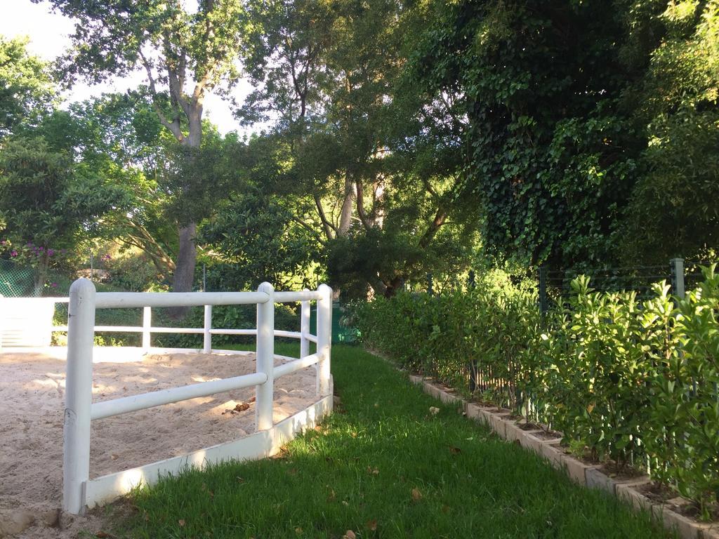 ケープタウン The White Manor Bed & Breakfast エクステリア 写真
