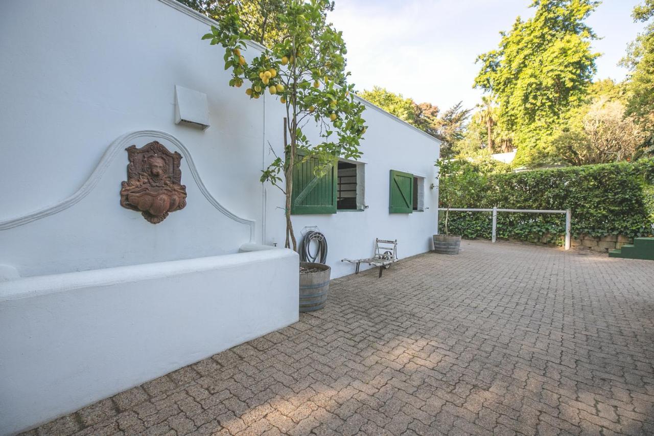 ケープタウン The White Manor Bed & Breakfast エクステリア 写真