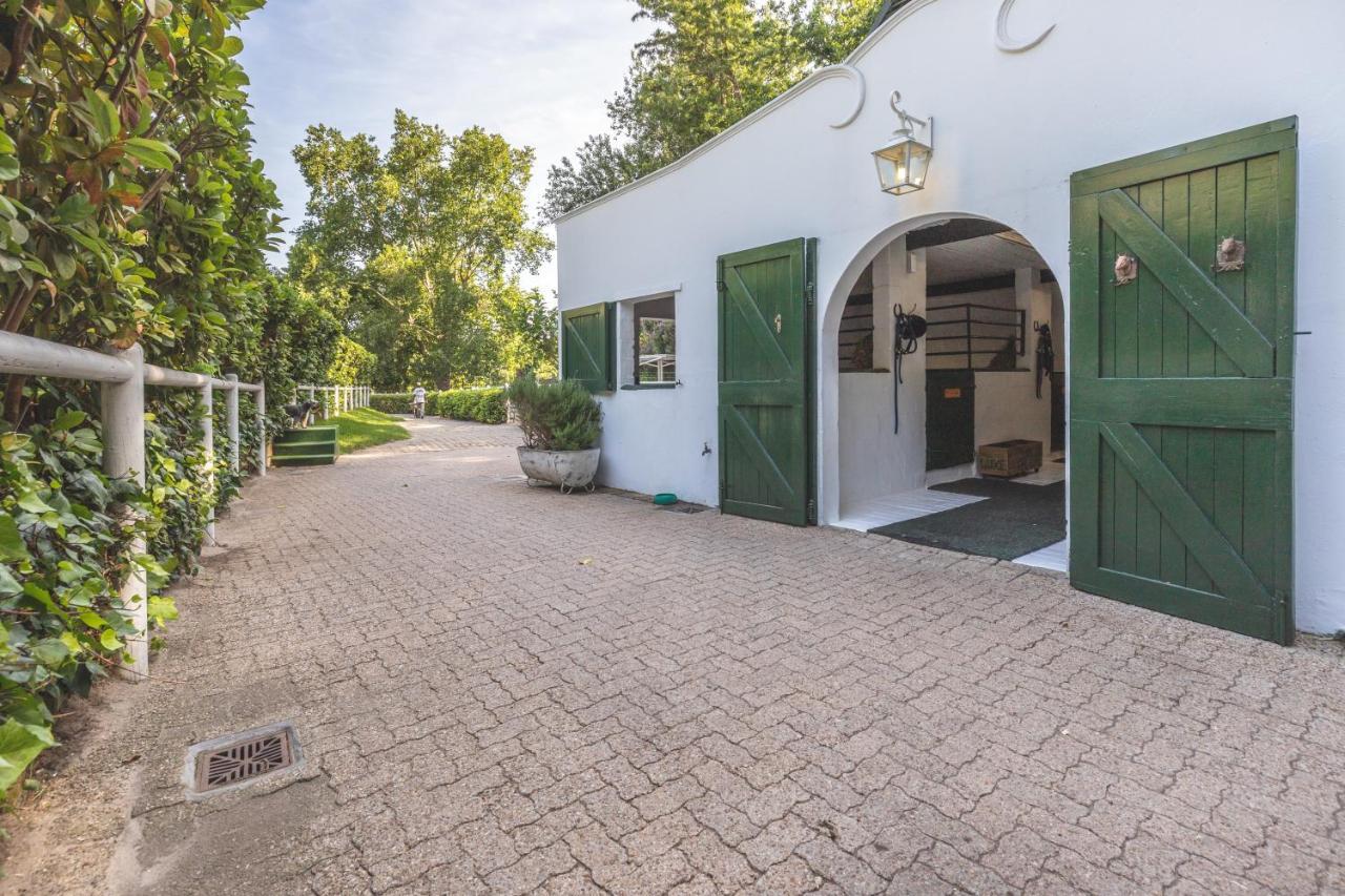 ケープタウン The White Manor Bed & Breakfast エクステリア 写真